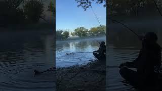 Pesca de CARPA GIGANTE  short