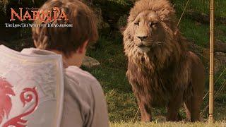 Meeting Aslan - Narnia The Lion The Witch and the Wardrobe