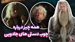 هری پاتر  همه چیز درباره چوب دستی ها انواع درخت ها و مغزهای چوب دستی 