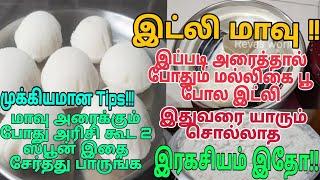 எந்த அரிசியா இருந்தாலும் பூ போல இட்லி softa இருக்க யாரும் சொல்லாத ரகசியம்l Soft IDly Recipe in Tamil