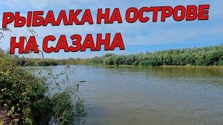 Рыбалка на сазана в Маково  Астраханской области в 4K