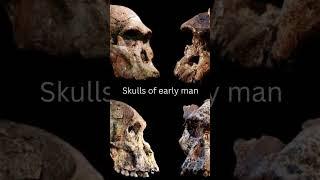 The Cradle of Humankind Johannesburg.Must place to visit in South Africa #shortsfeed #nature #vlog