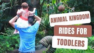 ANIMAL KINGDOM WITH A TODDLER BEST RIDES 2022 DISNEY WORLD TIPS AND TRICKS