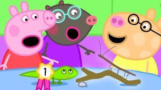 Peppa Pig English Episodes  The Pet Competition at Peppas Playgroup