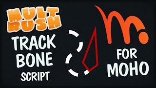 Script MR Track Bone - copy the bone translation and rotation and transfer it to any other bone