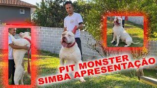 PIT MONSTER SIMBA APRESENTAÇÃO