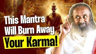 This Will Burn All Your Bad Karma  Q&A With Gurudev