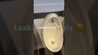  Fault finding a leaking Caroma wall-hung urinal  in Adelaide - By Mayfair Plumbing 0429361819 