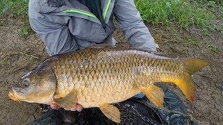 Carp Fishing in Rivers - How to Catch Carp in Rivers - River Fishing for Carp