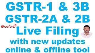 GSTR 1 GSTR 3B  LIVE FILING with new updates