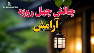 چالش چهل روزه آرامشدیتیشن شبانگاهی برای جدا شدن از افکار و خواب آرام