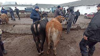 Aravan KG Сегодня Араван мал базары 130222