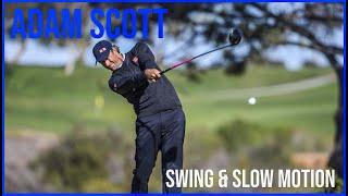 Watch Perfect Adam Scott Swing & Slow Motion 2021