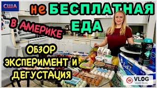 неБесплатная еда в АмерикеЧто купили?Проводим эксперимент с яйцамиГотовим новые блюдаСШАФлорида