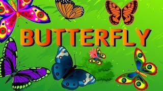 butterfly butterfly song for kidsnursery rhymes for babiesbaby rhymes