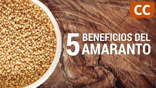 5 Beneficios del Amaranto  Ciencia de la Comida