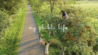 #157 A day of living the Ghibli life Harvesting apple drying tomatoes apple upside down cake...