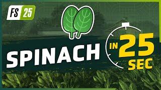 Spinach in 25 Seconds  Farming Simulator 25