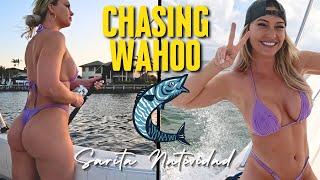 Chasing the Elusive Wahoo Will I Finally Catch It? 