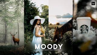 Moody Preset  Lightroom Presets Free DNG and XMP Download  Lightroom Photo Editing Tutorial