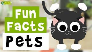 Pets   - Cartoon Fun Facts - Animals for Kids - Educational Video