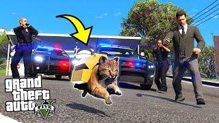 КОТ ПРЕЗИДЕНТА ОГРАБИЛ ДОМ ПРЕЗИДЕНТА - GTA 5 ЖИЗНЬ ЖИВОТНЫХ МОДЫ ГТА 5