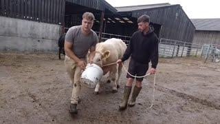 Another Week On The Farm 140724 part 1