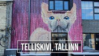 Day Trip to Telliskivi Tallinn March 2020