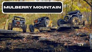 Mill Creek OHV Trails  Boston Mountain - Ozark National Forest Arkansas