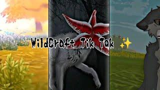 WildCraft Tik Tok 