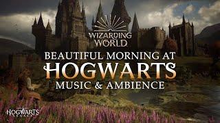 Beautiful Morning at Hogwarts  Harry Potter Music & Ambience Reading with Hermione Granger