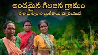 అడివిలో పాములు ఊరు  snake zone house  no phone signal tribal village 