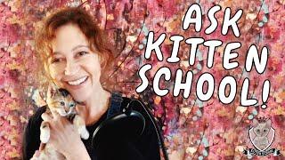 Do Your Cats HATE Your Foster Kittens? Ask Kitten School