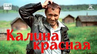 Калина красная 4К драма реж. Василий Шукшин 1973 г.
