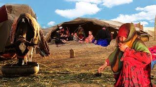 A Journey Through the World of Nomadic People  Kochi People in Afghanistan