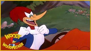 Woody Woodpecker  Well Oiled  Full Episodes