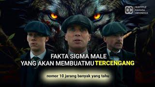 FAKTA MENARIK SIGMA MALE  nomor 10 akan membuatmu tercengang