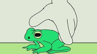 Frog Sound Effect Animation