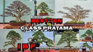 BONSAI BEST TEN CLASS PRATAMA  INDONESIA BONSAI FIGHTER  PAMNAS JEPARA 2022