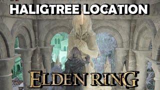 ELDEN RING - How to get to Haligtree SECRET Location  Haligtree Puzzle