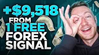 Top 5 Free Forex Signals on Telegram