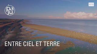 Les amoureux de la baie de Somme racontent sa faune