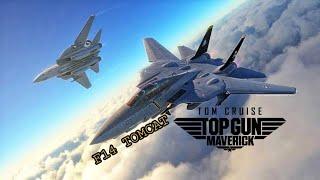 F 14 TOMCAT - TOP GUN - FREE FLIGHT