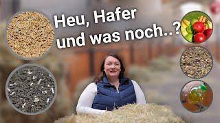 Welches Futter braucht mein Pferd? Warum Heu und Hafer manchmal nicht genug sind