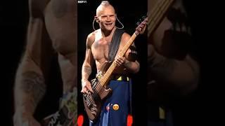 Do You Like Slap Bass? Flea Loves It ️ #rhcp #redhotchilipeppers #live #shorts