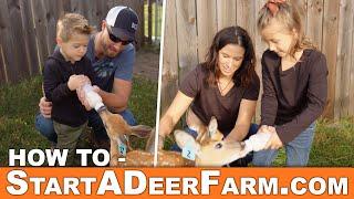 How To Start A Deer Farm - Go to StartADeerFarm.com