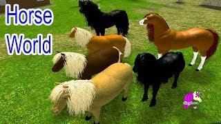 Horse World  Lets Play Roblox Online Horses Game Play Video