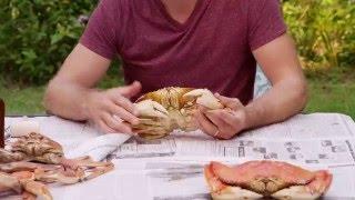 How to Eat a Crab