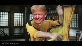 Trump Kung Flu Fighting