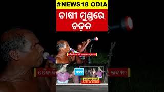 ଚାଷୀଙ୍କ ନିଦ ହଜାଇଛନ୍ତି ବାରହା ପଲ୍ଲ  Wild Baraha Astaranga  OdishaNews  OdiaNews  Puri News